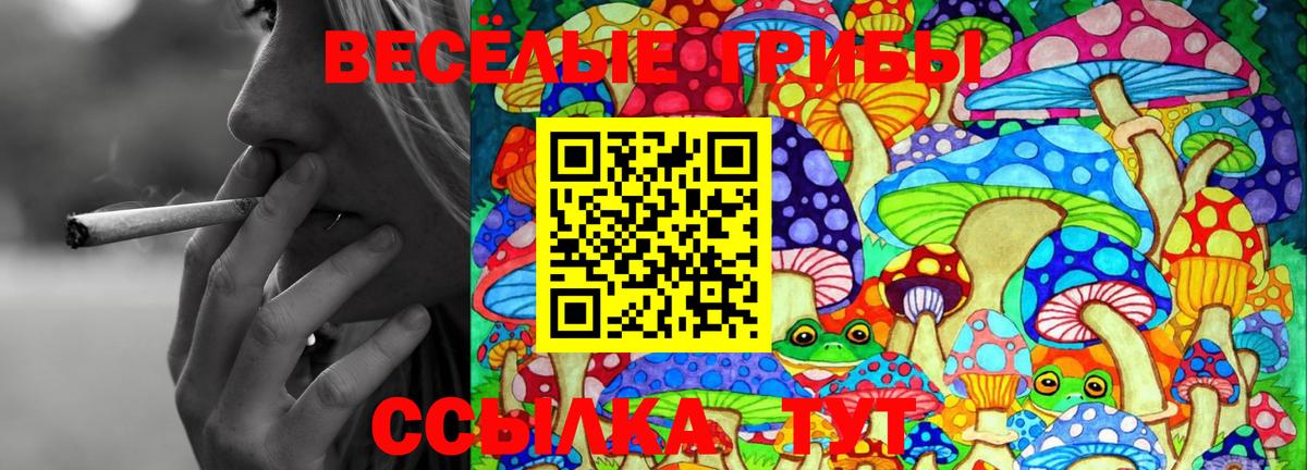 Галлюциногенные грибы Psilocybine cubensis Ревда