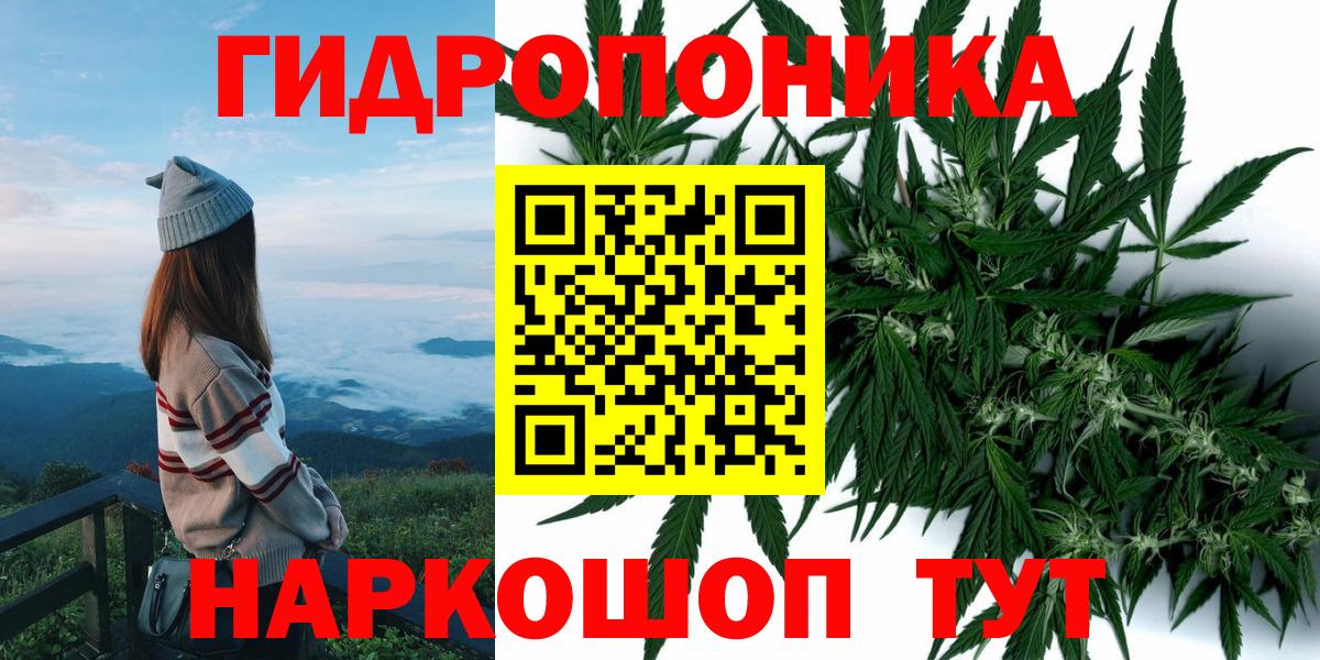 Бошки Шишки план Ревда